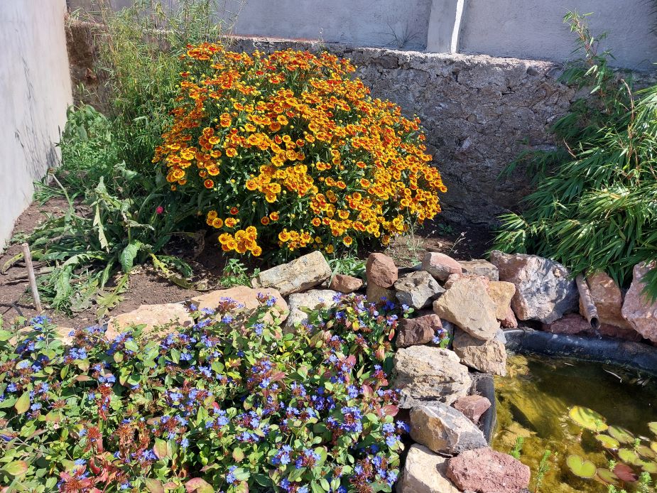 Fuente en jardín en apartamento en Gozón